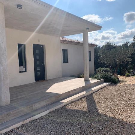 Magnifique Villa Classee 4* Meuble De Tourisme Flassans-sur-Issole 外观 照片