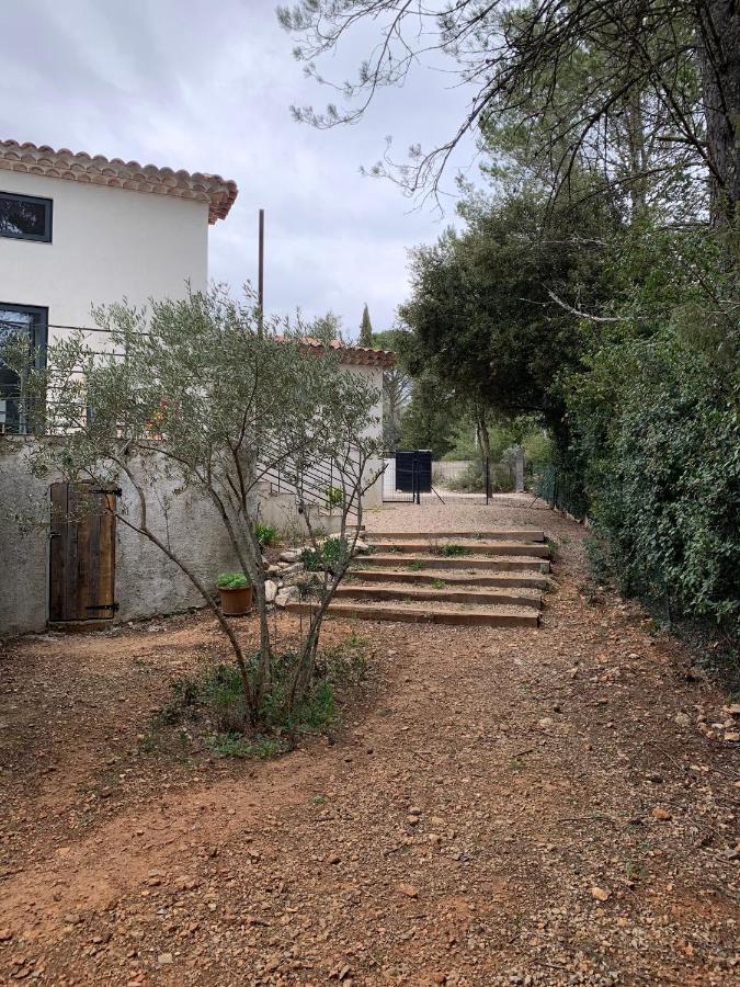 Magnifique Villa Classee 4* Meuble De Tourisme Flassans-sur-Issole 外观 照片