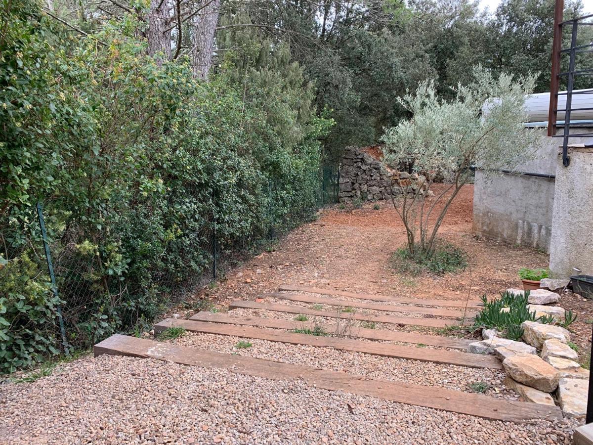 Magnifique Villa Classee 4* Meuble De Tourisme Flassans-sur-Issole 外观 照片